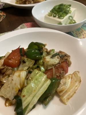 陳さんちのホイコーロー