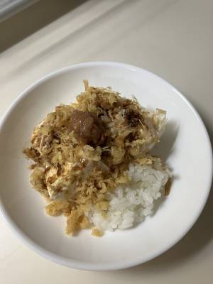豆腐のっけご飯