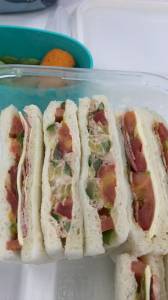 ツナマヨときゅうりのフローズンサンド弁当