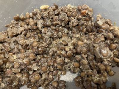 レンズ豆の塩煮