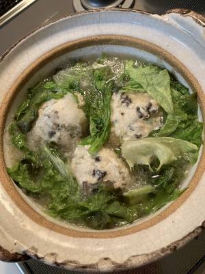 鶏だんごのみぞれ鍋