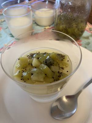 パンナコッタ キウイソース