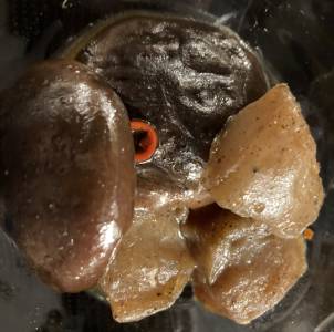 しいたけとこんにゃくのピリ辛煮