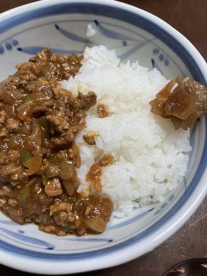 スパイシーヨーグルトソースのキーマカレー