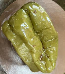 丸ごとピーマンのくったり煮