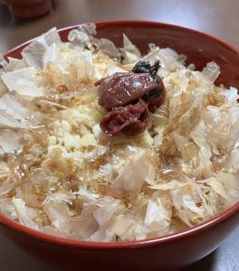 豆腐のっけご飯