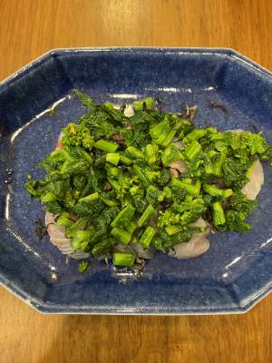 菜の花とたいのカルパッチョ