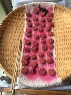 道具いらずの梅干し-土用干し