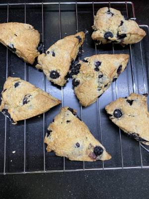 ブルーベリースコーン