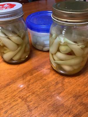 甘酢らっきょう