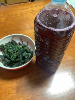 赤じそシロップ