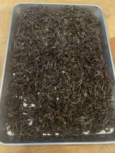 ひじきのしょうゆ煮