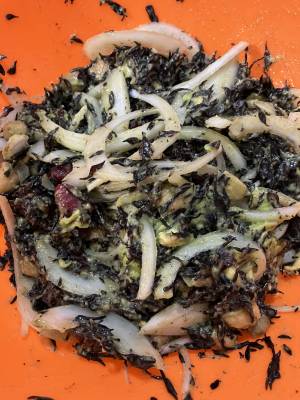 アボカドのひじきサラダ