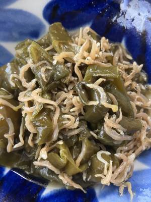 じゃこピーマン