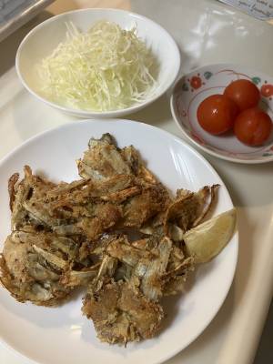 ごぼうと牛肉のげんこつカツ