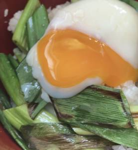 ねぎたま丼