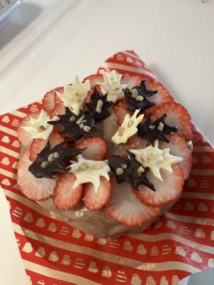 チョコレートクリームのクリスマスケーキ