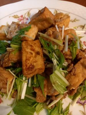 厚揚げの煮込み