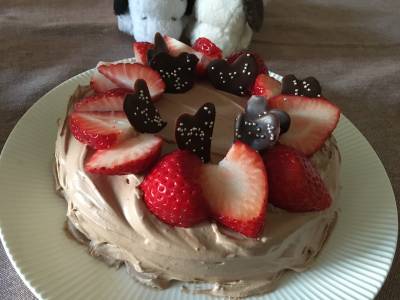 チョコレートクリームのクリスマスケーキ