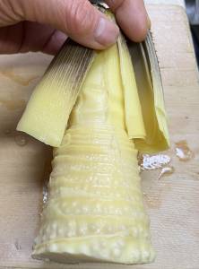 生のたけのこのゆで方