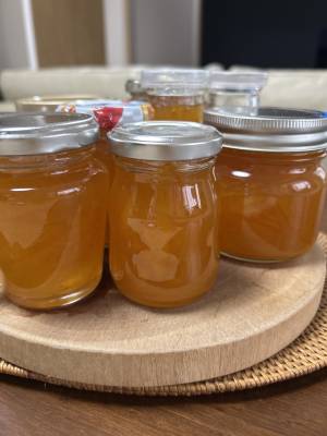 甘夏マーマレード