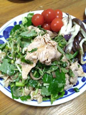 たっぷり薬味の豚しゃぶ