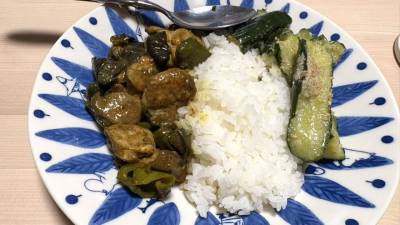 なすと鶏肉のドライカレー