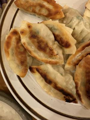 ぱりぱりギョーザ
