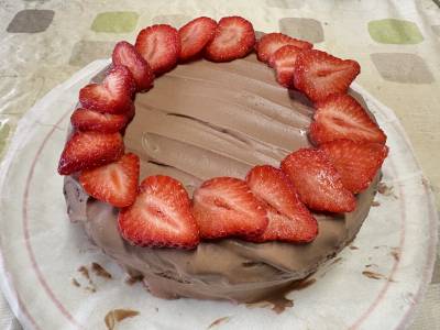 チョコレートクリームのクリスマスケーキ