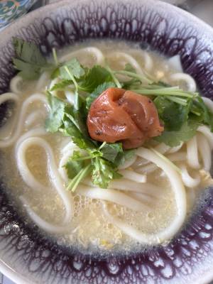 梅のせ卵とじうどん