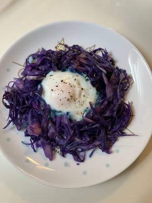 キャベツの巣ごもり