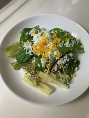 ねぎのミモザサラダ