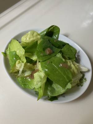 薬味サラダ 梅ドレッシング