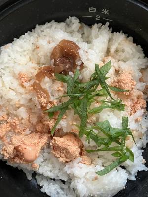 梅明太ご飯