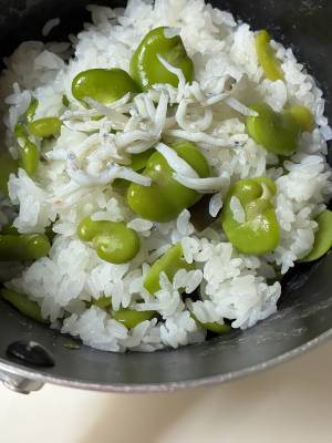 そら豆ごはん
